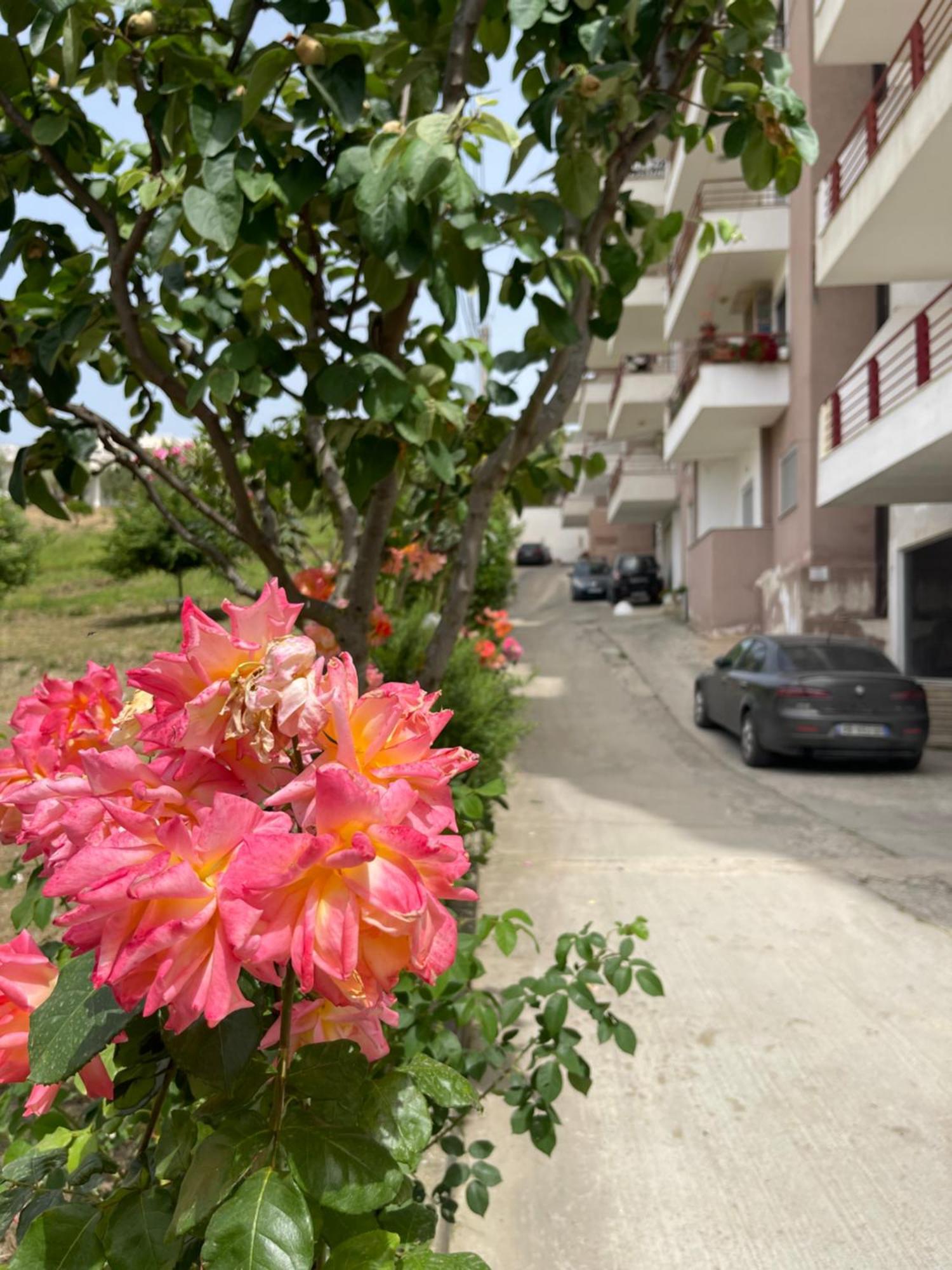 Beach Apartments ドゥラス エクステリア 写真